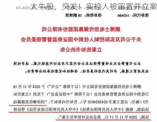 大牛股，突发！实控人被留置并立案