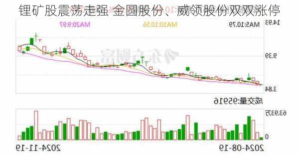 锂矿股震荡走强 金圆股份、威领股份双双涨停