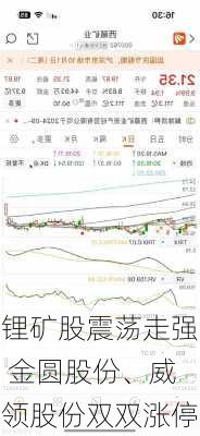 锂矿股震荡走强 金圆股份、威领股份双双涨停