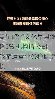 复星旅游文化早盘涨超5% 机构指公司旅游运营业务稳健增长