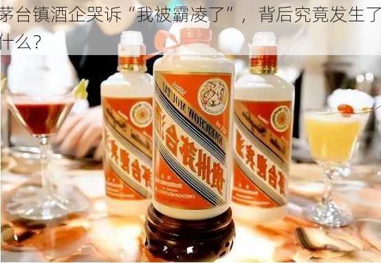 茅台镇酒企哭诉“我被霸凌了”，背后究竟发生了什么？