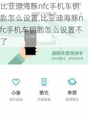 比亚迪海豚nfc手机车钥匙怎么设置,比亚迪海豚nfc手机车钥匙怎么设置不了