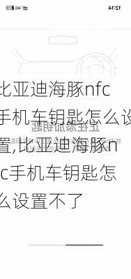 比亚迪海豚nfc手机车钥匙怎么设置,比亚迪海豚nfc手机车钥匙怎么设置不了