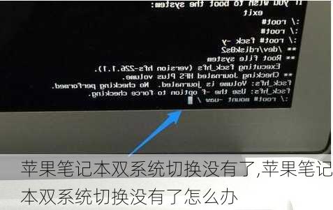 苹果笔记本双系统切换没有了,苹果笔记本双系统切换没有了怎么办