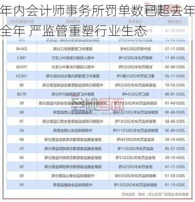 年内会计师事务所罚单数已超去年全年 严监管重塑行业生态