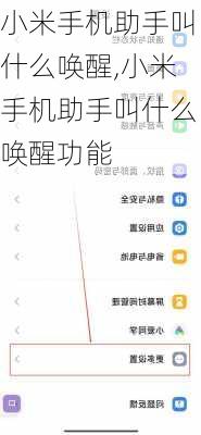 小米手机助手叫什么唤醒,小米手机助手叫什么唤醒功能