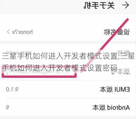三星手机如何进入开发者模式设置,三星手机如何进入开发者模式设置密码