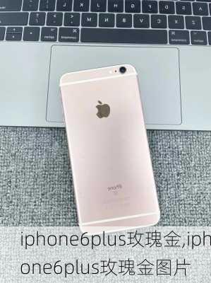 iphone6plus玫瑰金,iphone6plus玫瑰金图片