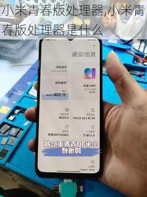 小米青春版处理器,小米青春版处理器是什么