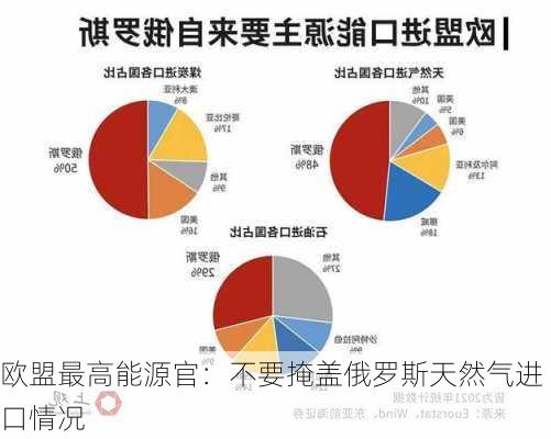 欧盟最高能源官：不要掩盖俄罗斯天然气进口情况