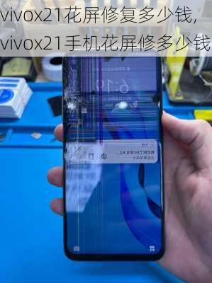 vivox21花屏修复多少钱,vivox21手机花屏修多少钱