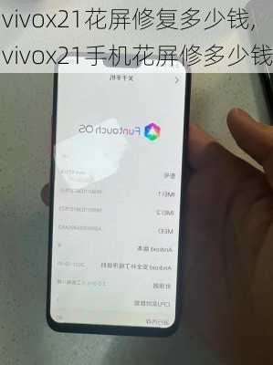 vivox21花屏修复多少钱,vivox21手机花屏修多少钱