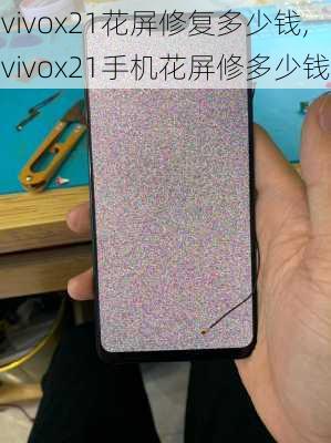 vivox21花屏修复多少钱,vivox21手机花屏修多少钱