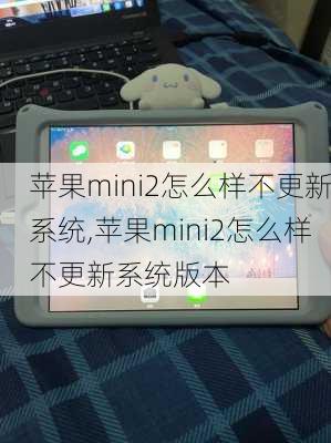 苹果mini2怎么样不更新系统,苹果mini2怎么样不更新系统版本